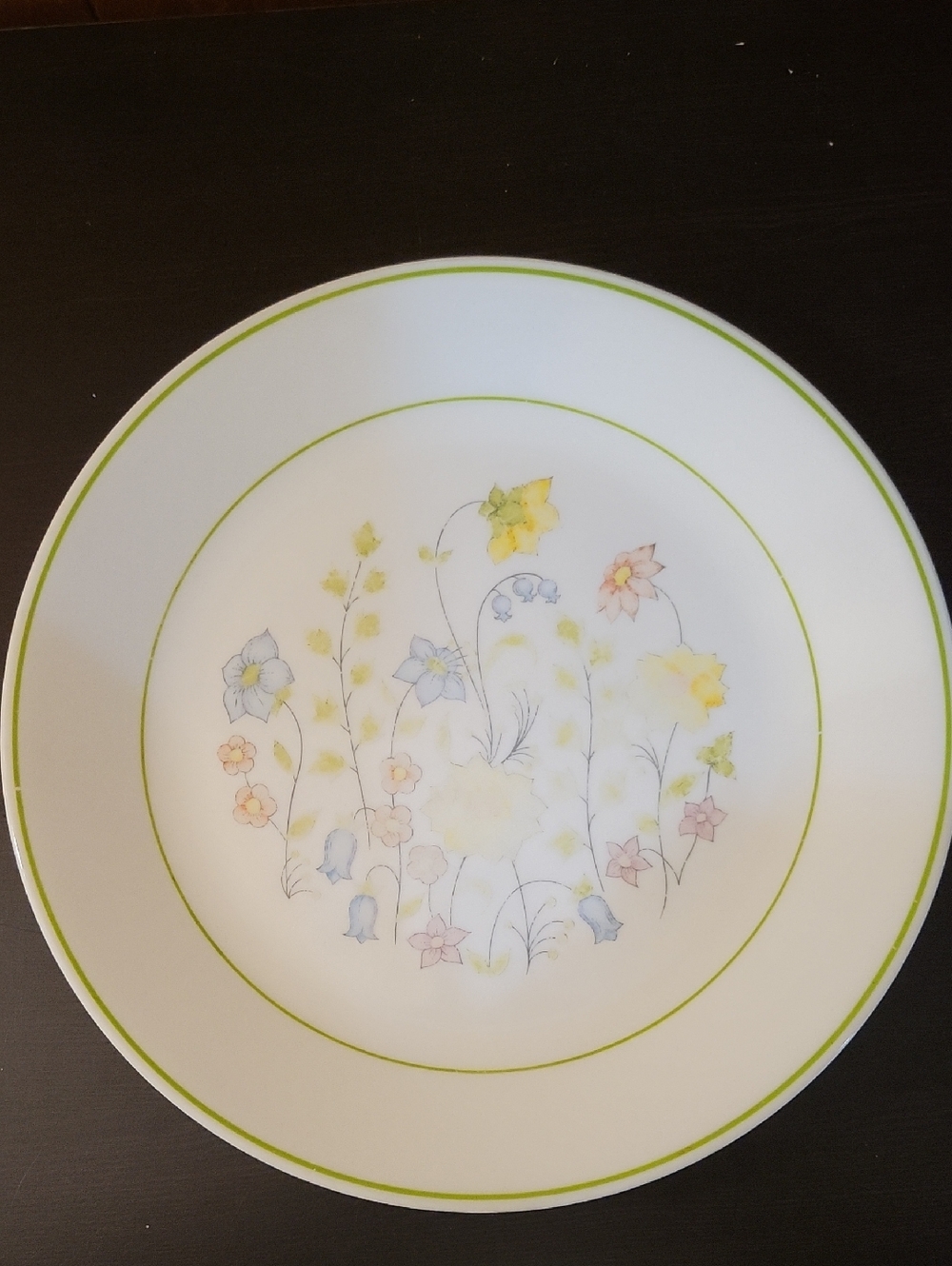Corelle Meadow Dinner Plate in White and Green Set Of 4